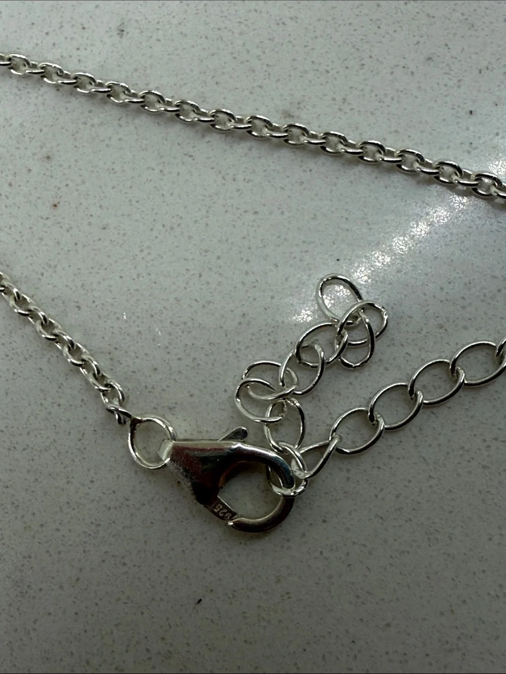 NWOT Sterling Silver  wild horse White and brownStone Horseshoe Pendant Necklace